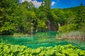 Plitvice Lakes Royalty Free Stock Photo